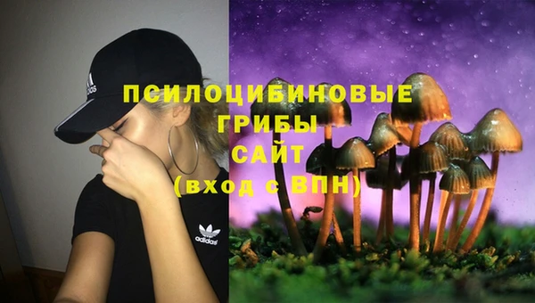 Альфа ПВП Дмитров
