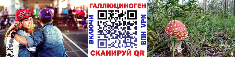 Купить закладки  Шарыпово  Псилоцибиновые грибы Psilocybe 